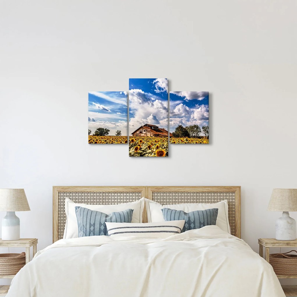 Tablou cu câmp de floarea soarelui (90x60 cm)
