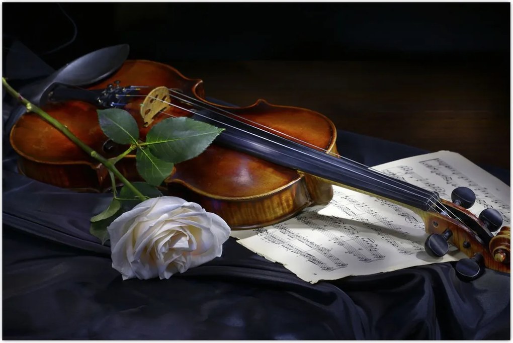 Tablou - Trandafiri și vioară (90x60 cm)