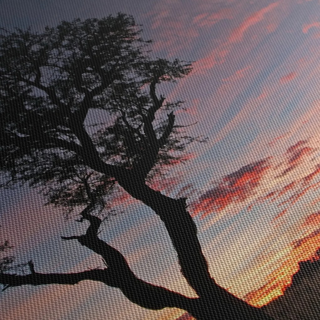 Tablou - Copac și nuanțe roșiatice (120x50 cm)