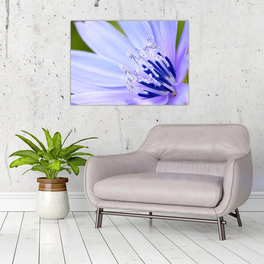 Tablou - Floare (70x50 cm)