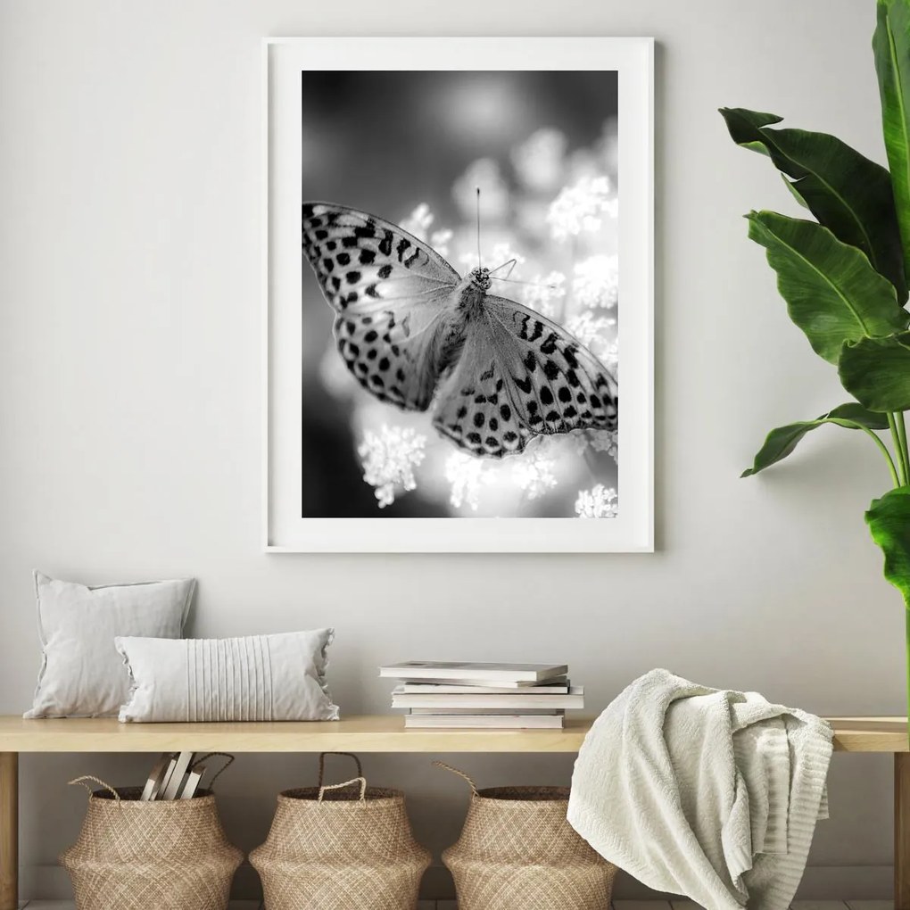 Poster - Fluture (A4)