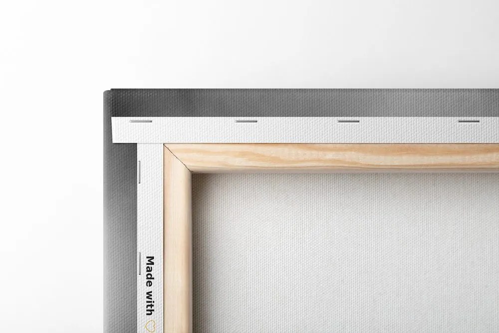 Tablou natura moartă Feng Shui în design alb-negru
