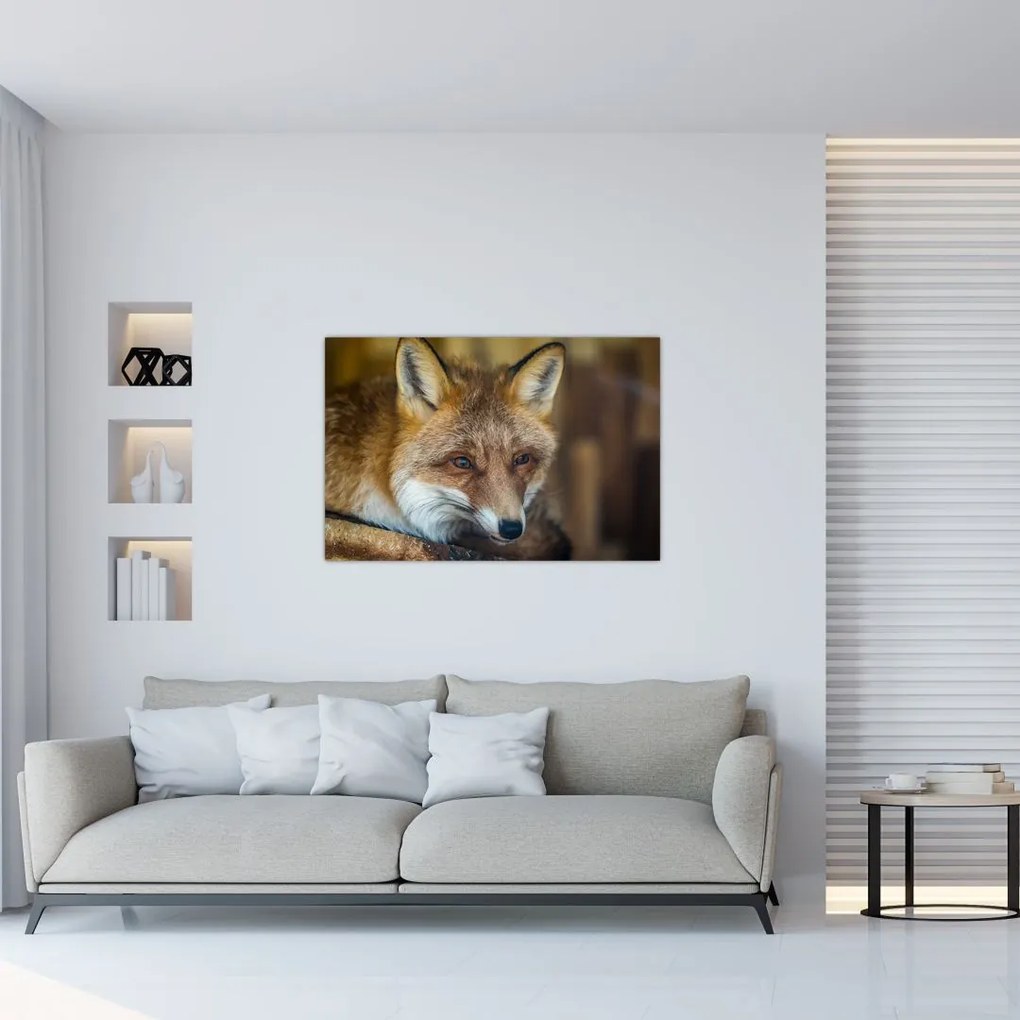 Tablou cu vulpe (90x60 cm)