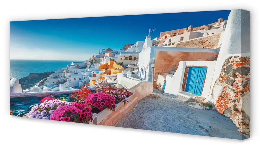 Tablouri canvas Clădiri Grecia flori la mare