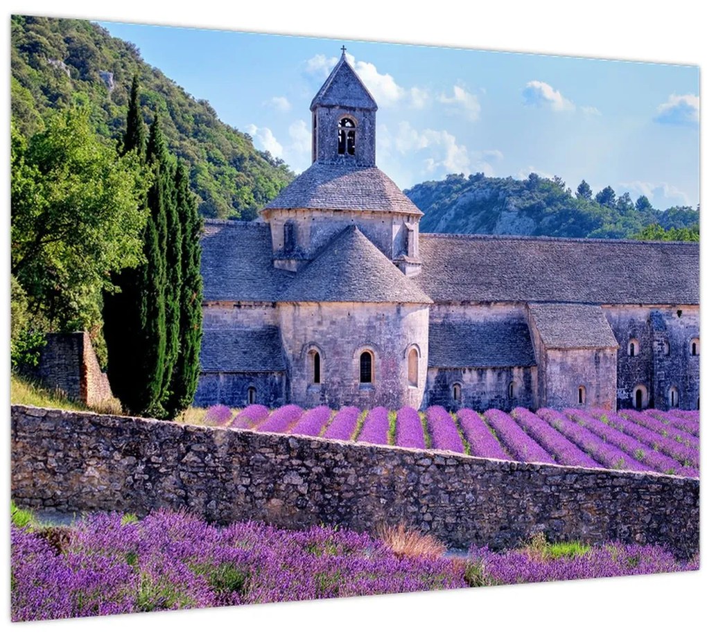 Tablou - Câmp de lavandă (70x50 cm)