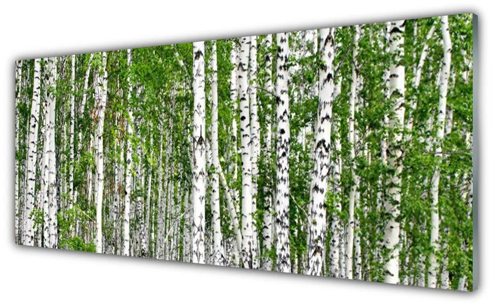 Tablou pe sticla Birch Forest Copaci Natura Verde Alb