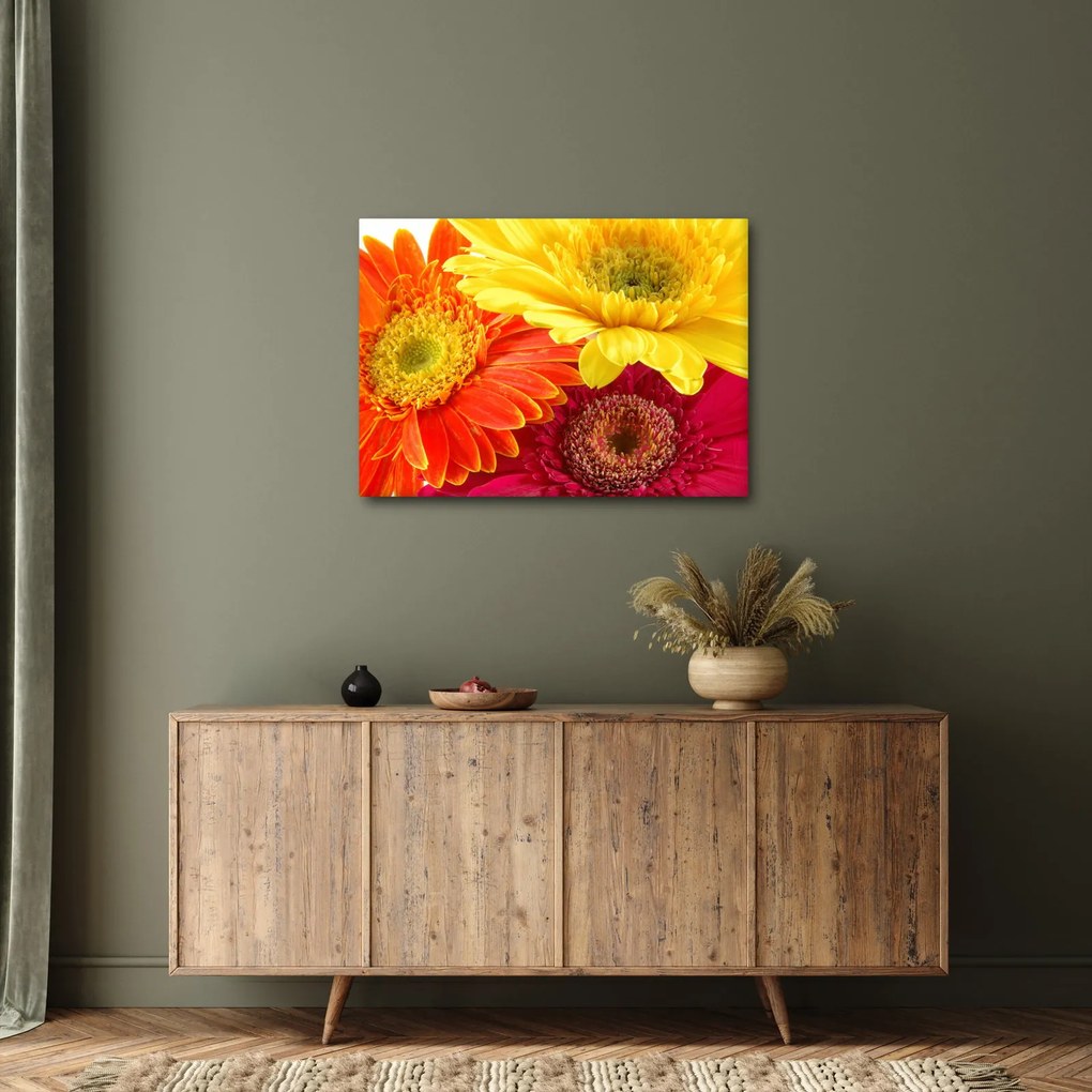 Tablou - Flori Gerbery (70x50 cm)