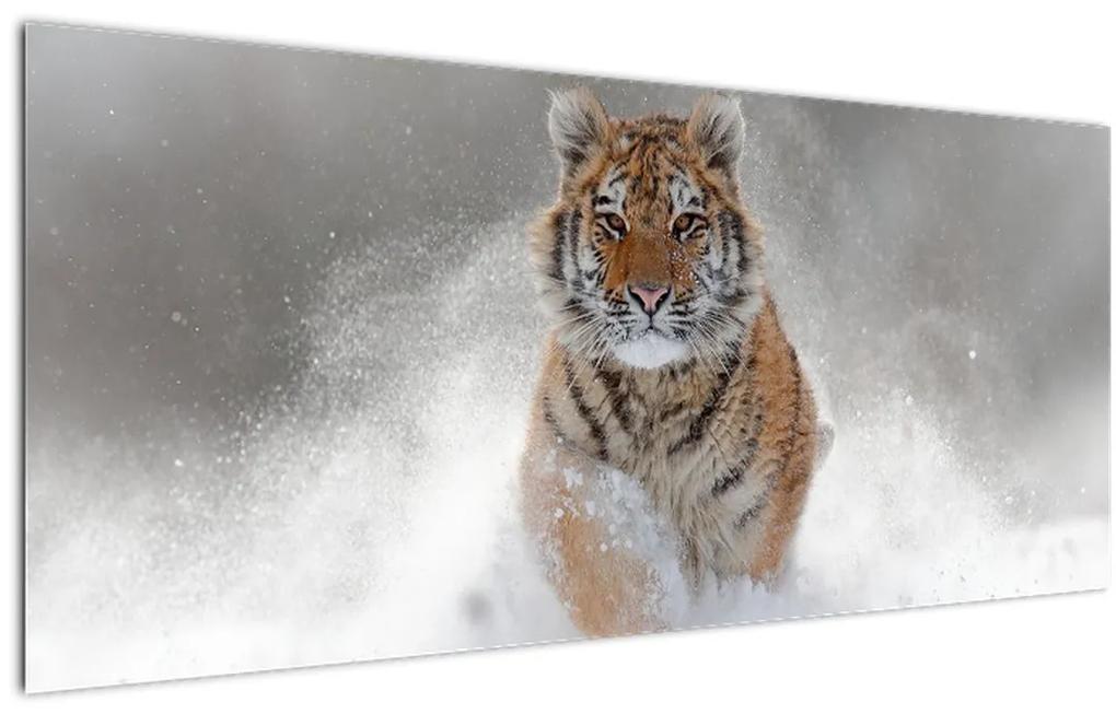 Tablou cutigru fugind prin zăpadă (120x50 cm), în 40 de alte dimensiuni noi
