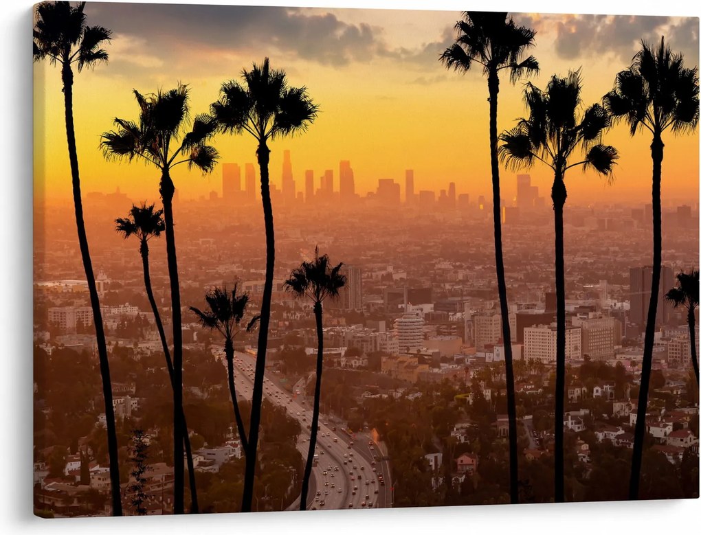 Tablou - Panorama din Los Angeles (70x50 cm)