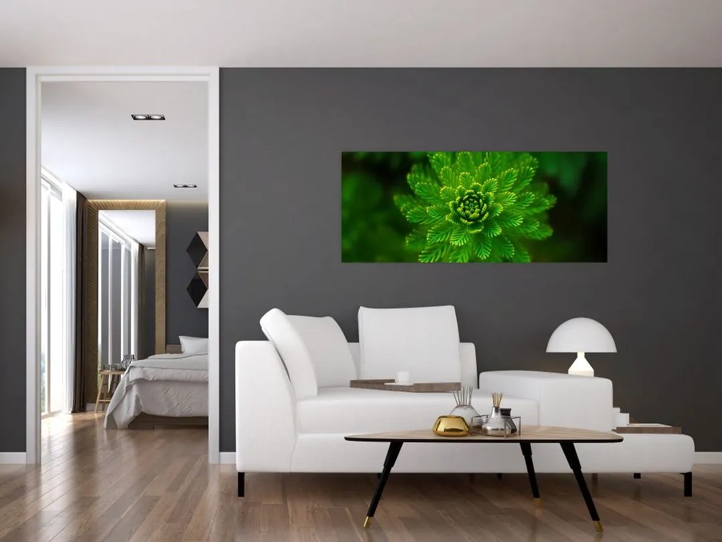 Tablou cu coniferi (120x50 cm)