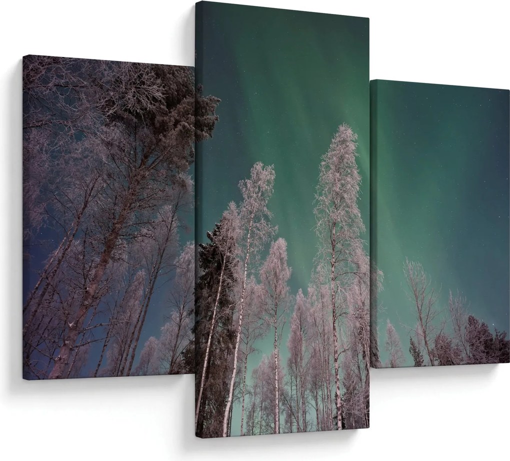 Tablou cu aurora borealis deasupra pomilor înghețați (90x60 cm)