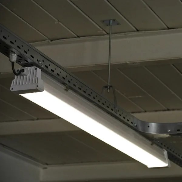 Greenlux GXWP381 - LED corp tehnic fluorescent DUST PROFI LED/53W/230V IP66