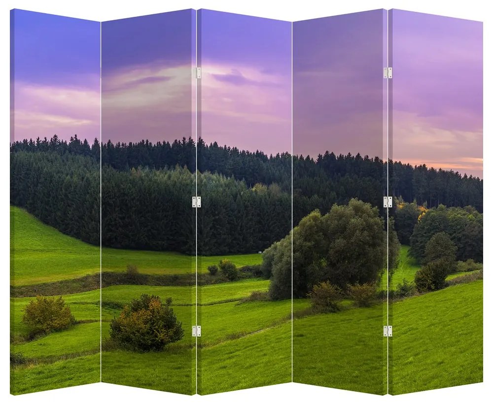 Paravan - Lunca (210x170 cm)