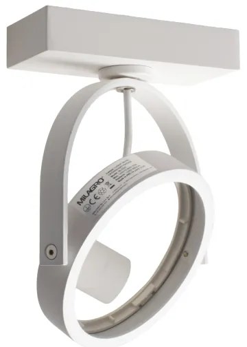 Spot de perete LUGAR 1xAR111 - GU10/25W/230V