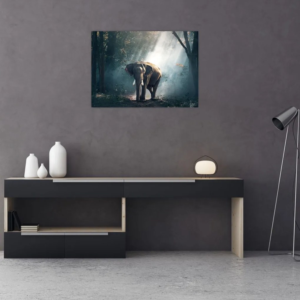 Tablou pe sticlă cu elefant în djunglă (70x50 cm)