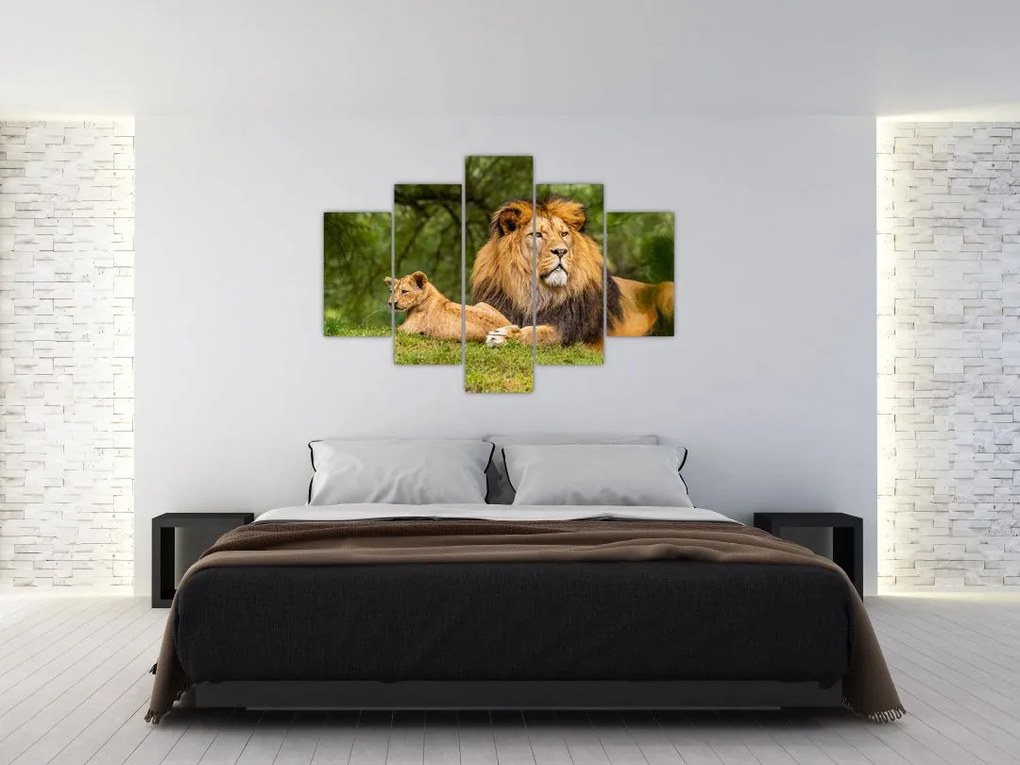 Tablou cu lei (150x105 cm)