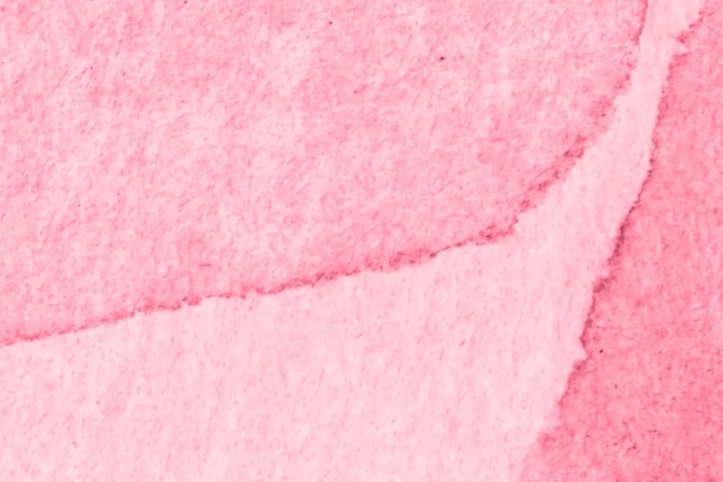 Fototapet, Petals, Magenta, Rebel Walls