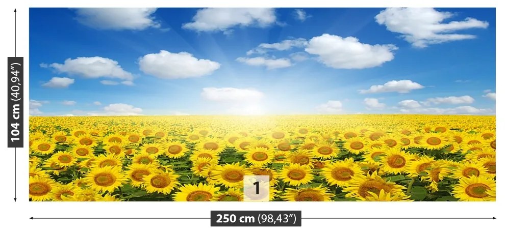Fototapet Domeniu de Sunflowers