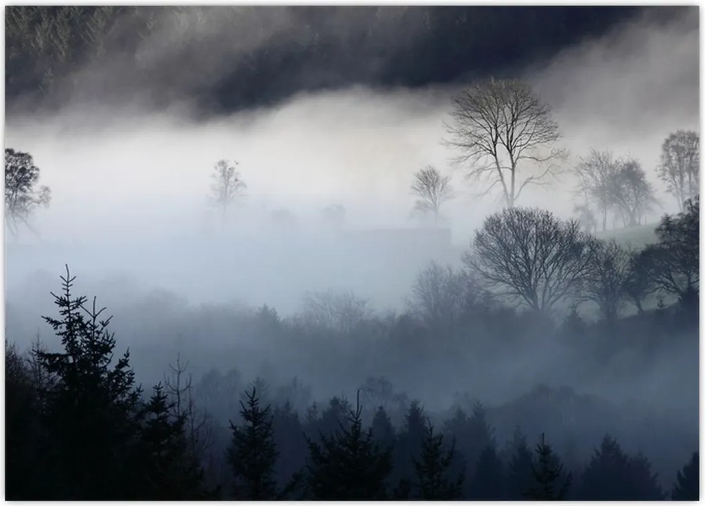 Tablou cu ceță deasupra pădurii (70x50 cm)