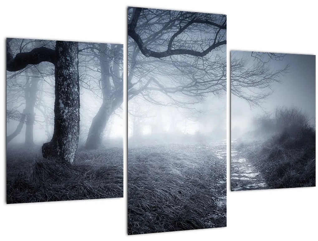 Tablou - Drum pin ceață (90x60 cm)