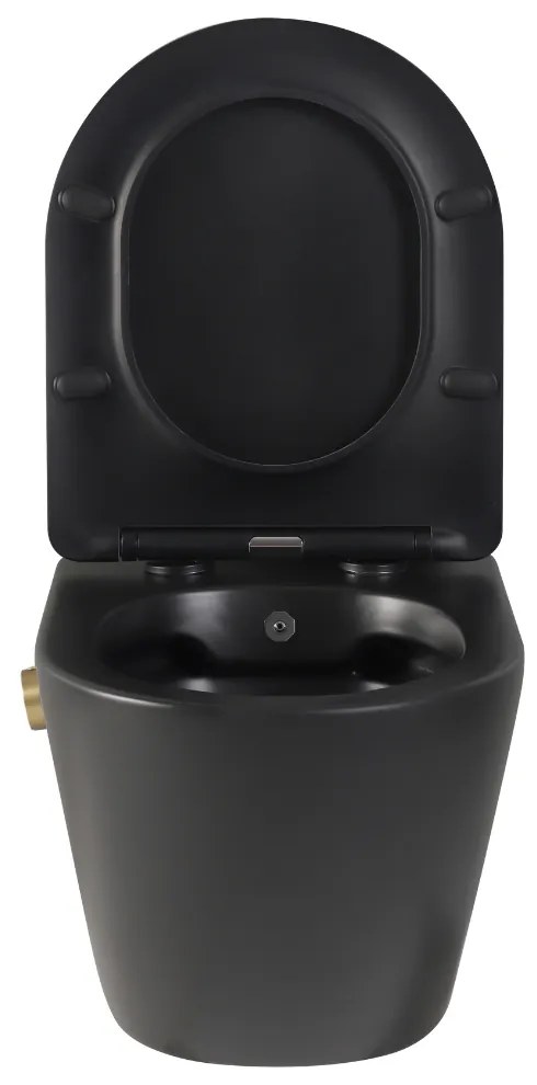Vas wc suspendat cu functie bideu, negru mat, apa calda rece, rimless, baterie inclusa auriu mat Foglia Oslo Baterie auriu mat