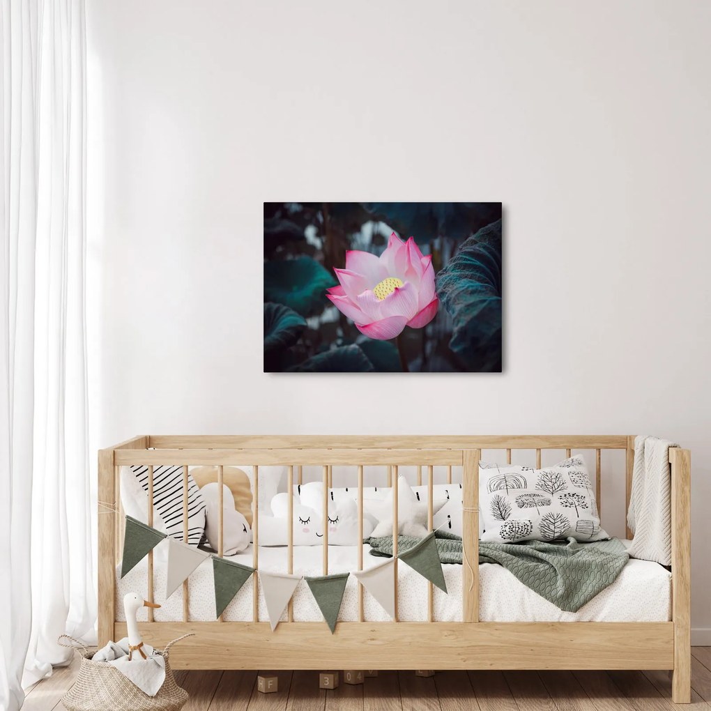 Tablou cu floare roz (70x50 cm)
