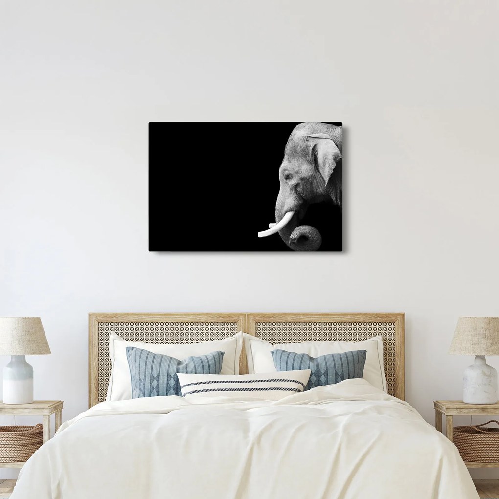 Tablou - Elefant (90x60 cm)