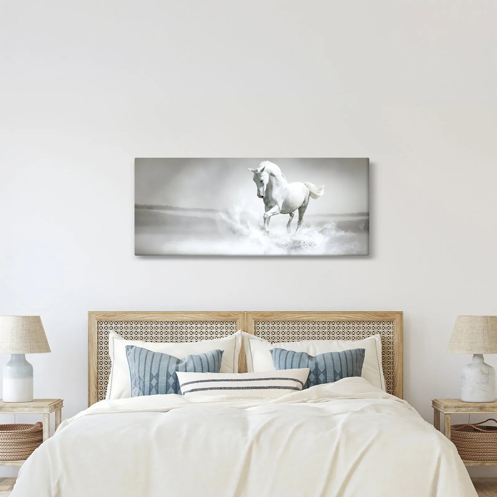 Tablou - Cal alb (120x50 cm)