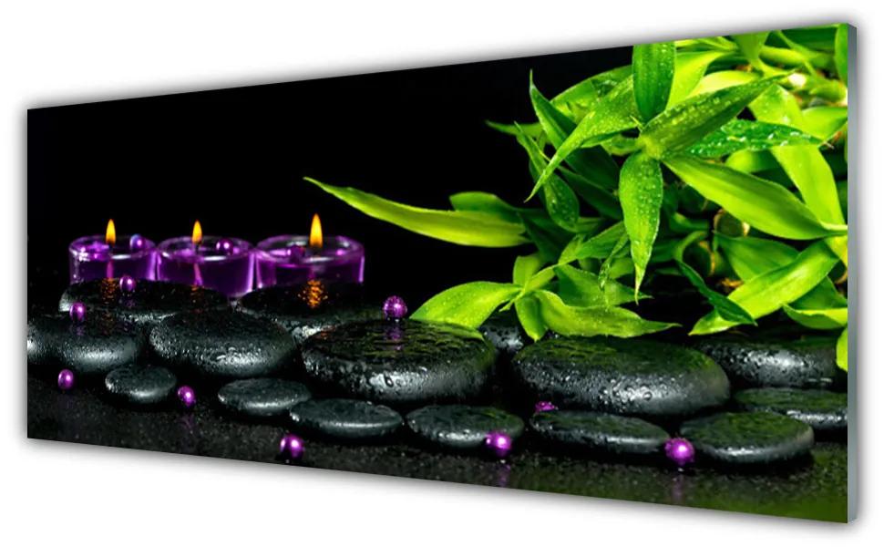 Tablouri acrilice Lumanarea Pietre Frunze Arta Negru Verde Violet