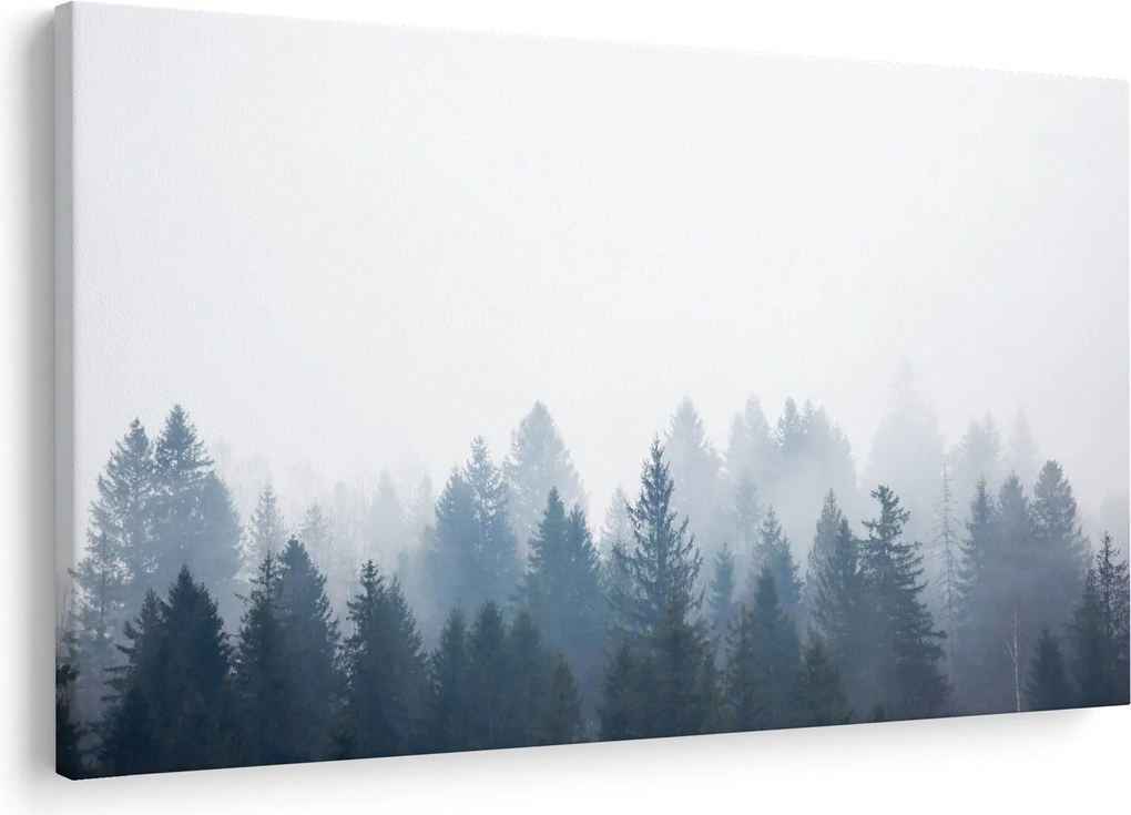 Tablou - Pădure cețoasă (90x60 cm)