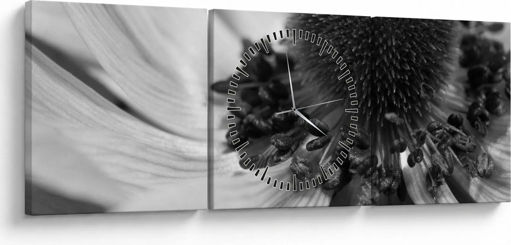 Tablou - Floare în alb-negru (cu ceas) (90x30 cm)