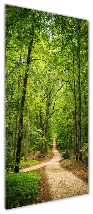 Tablou pe sticlă acrilică Calea în pădure