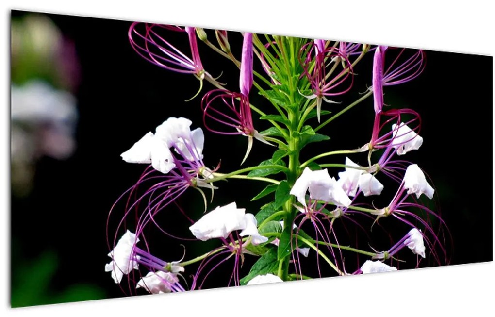 Tablou cu floare (120x50 cm)