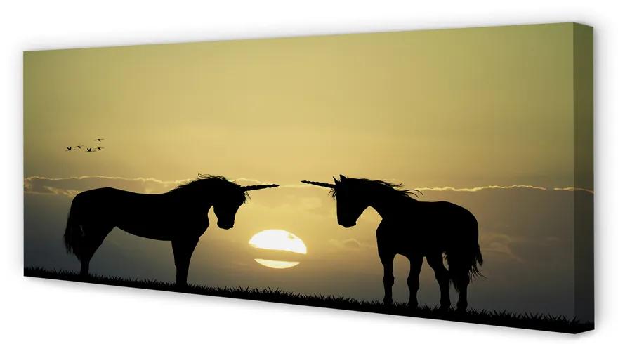 Tablouri canvas Câmp unicorni apus de soare