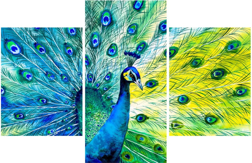 Tablou - Păun (90x60 cm)