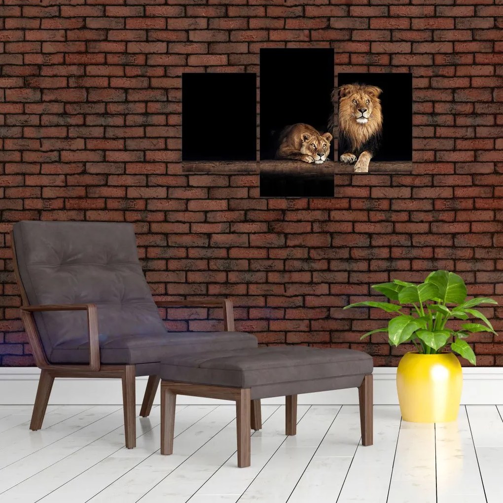 Tablou - Leu și leoaică (90x60 cm)