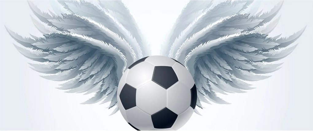 Tablou - Balon cu aripi (120x50 cm)