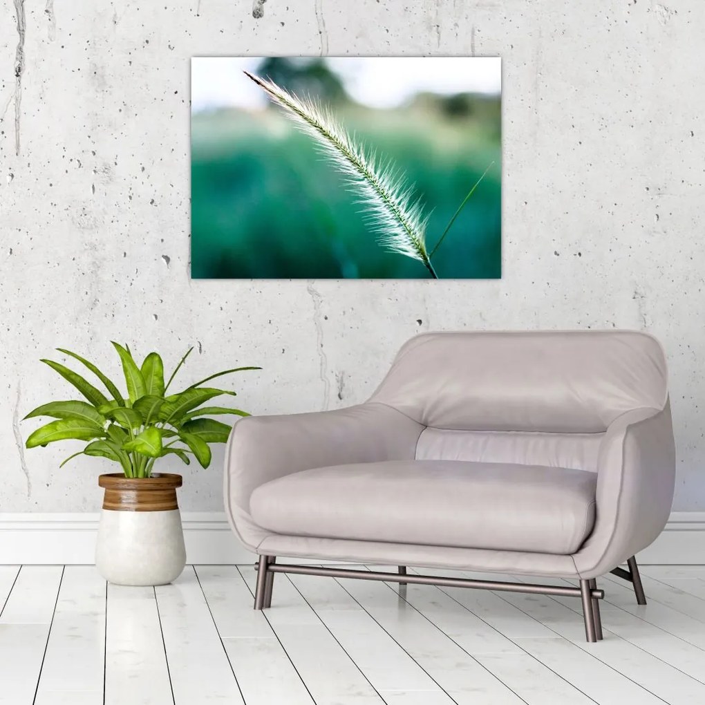 Tablou pe sticlă cu fir de iarbă (70x50 cm)