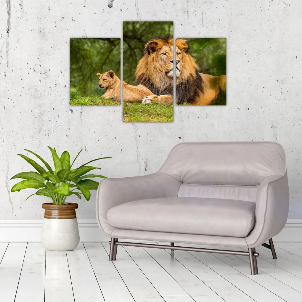 Tablou cu lei (90x60 cm)