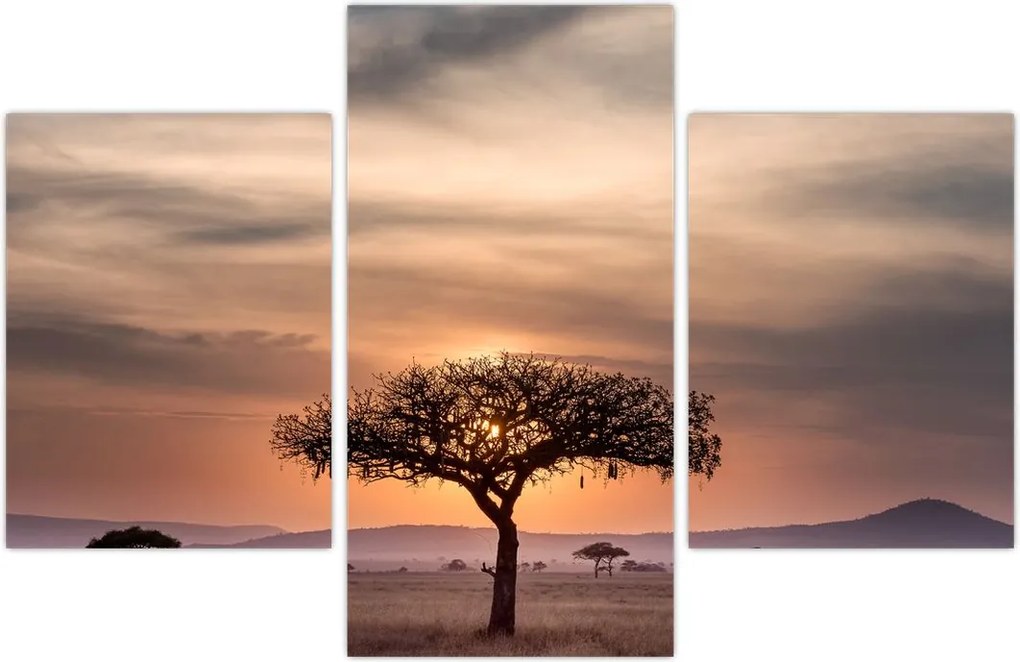 Tablou apusului de soare în Tanzania (90x60 cm)