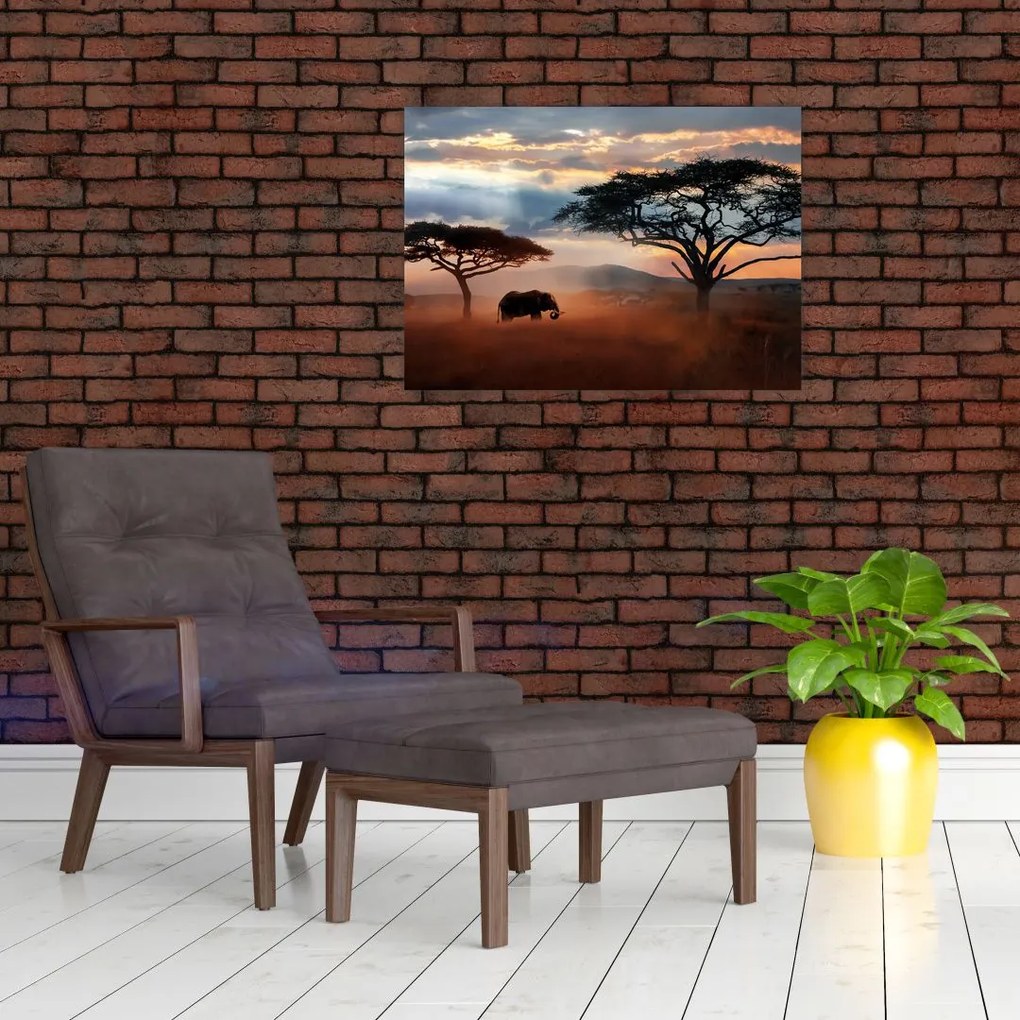 Tablou - Parcul Național Serengeti, Tanzania, Africa (70x50 cm)