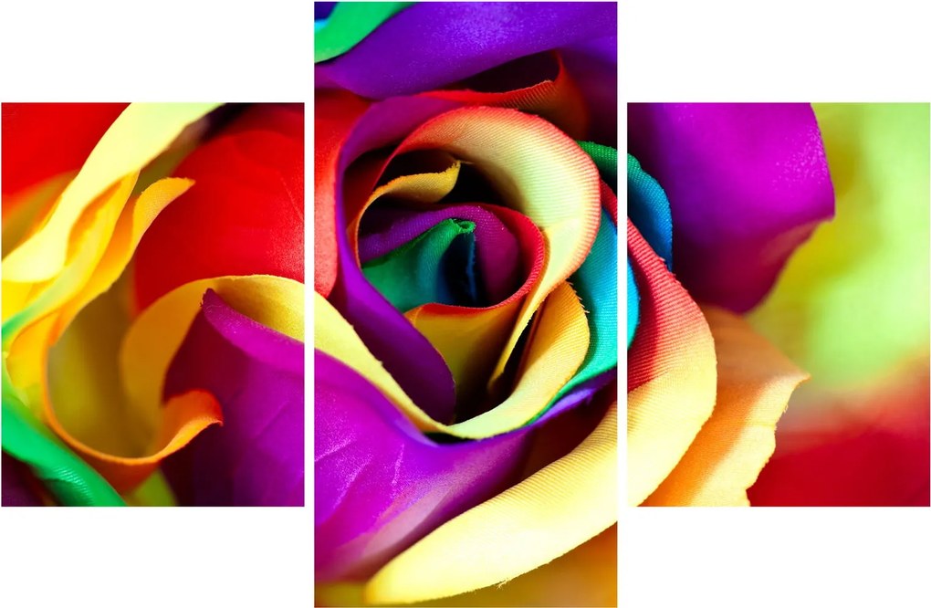 Tablou - Trandafir colorat (90x60 cm)