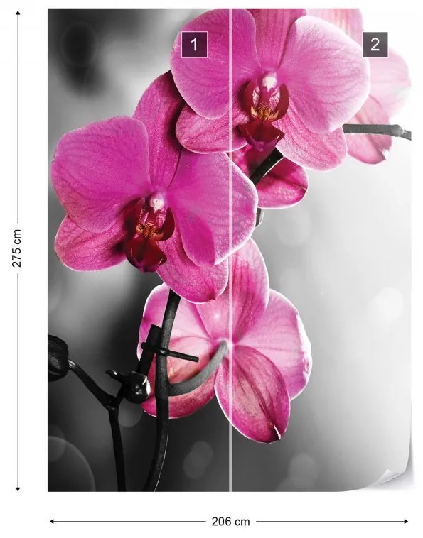 Pink Orchids Flowers Photo Wallpaper Wall Mural