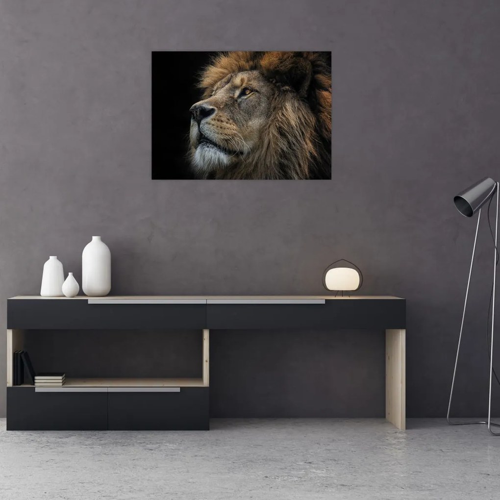 Tablou - Leul maiestuos (70x50 cm)