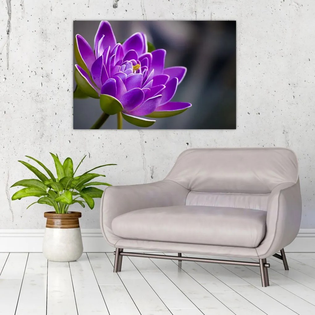 Tablou floarei (90x60 cm)