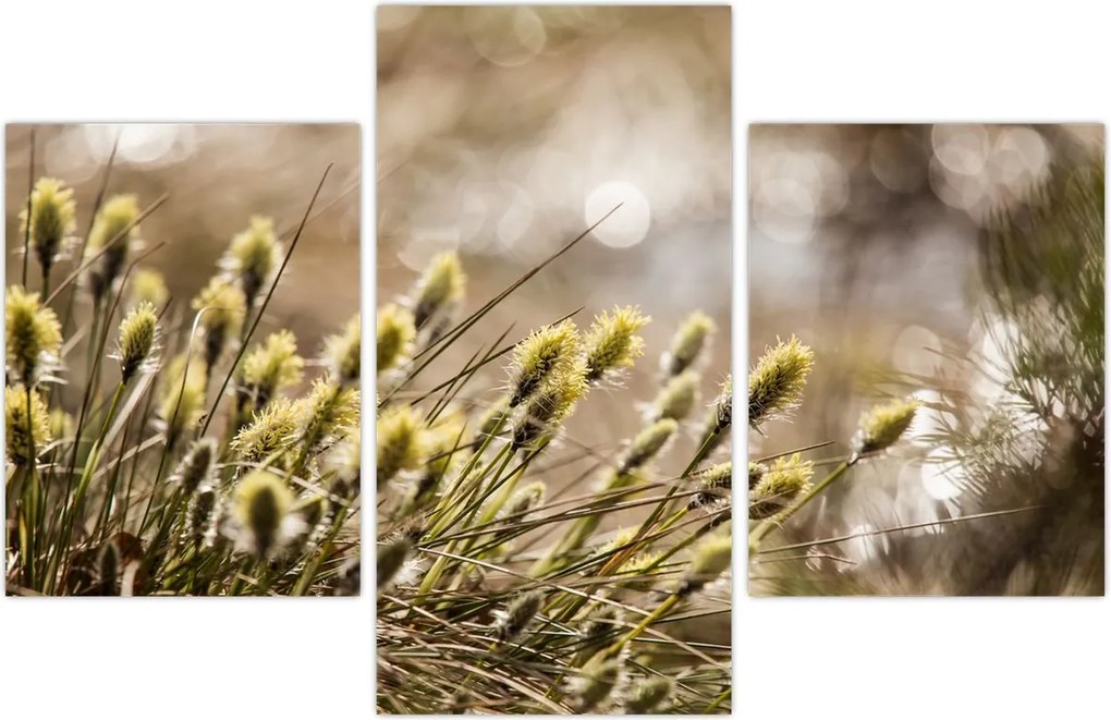 Tablou - Verde (90x60 cm)