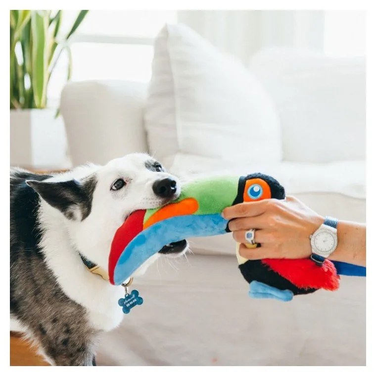 Jucărie pentru câine Toucan – P.L.A.Y.