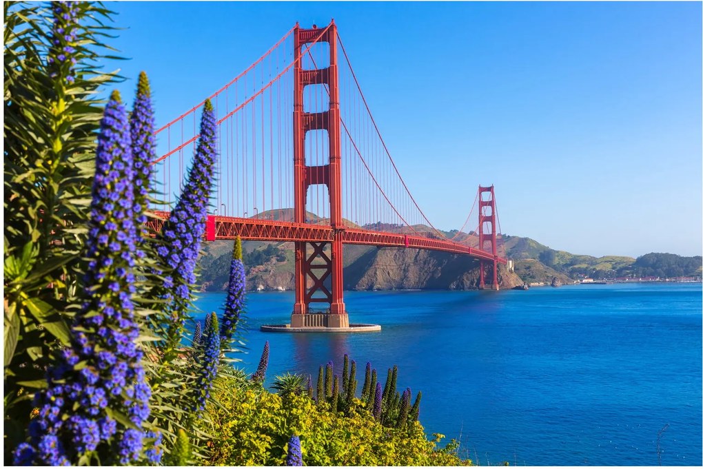 Tablou - Podul Golden Gate, San Francisco (90x60 cm)