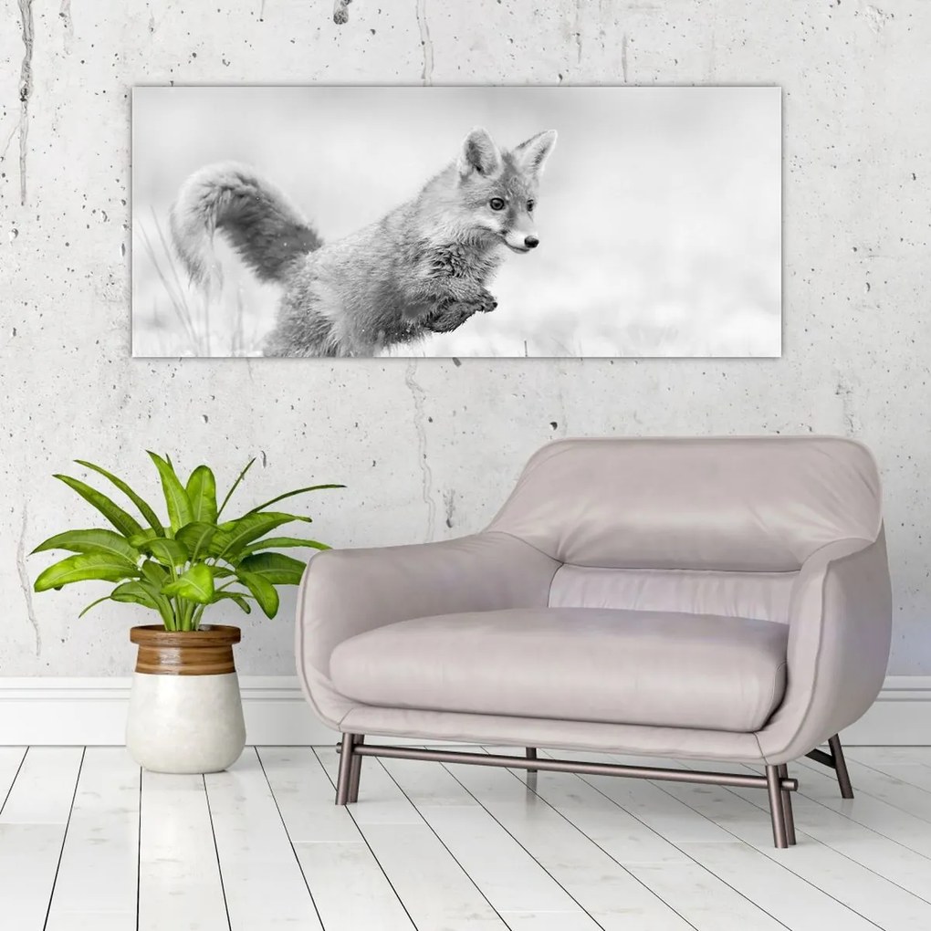 Tablou - Vulpe care sare,alb-negru (120x50 cm)