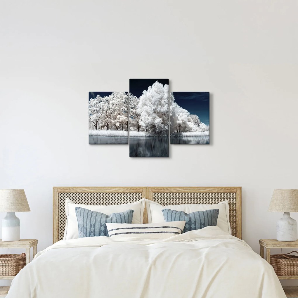 Tablou - Albă ca Zăpada Albă ca Zăpada Copaci (90x60 cm)